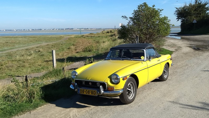 IMG_20181009_112028776 (4).jpg (1.59 MiB) 7104 keer bekeken Mijn eigen B in Mimosa Yellow (2018)