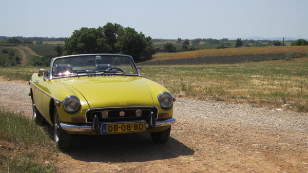 In de lavendelvelden niet ver van de Gorges du Verdon