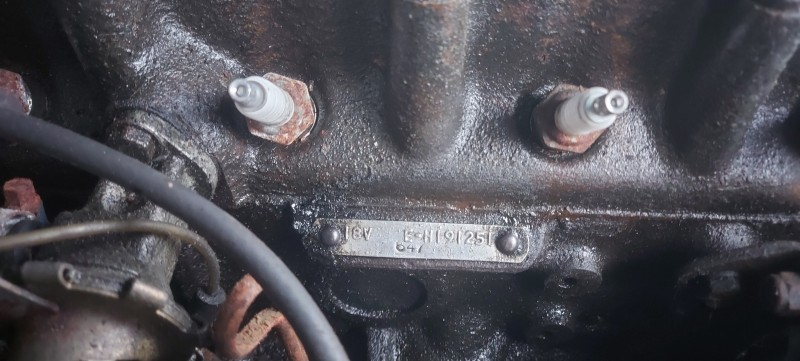 20251116_145415.jpg