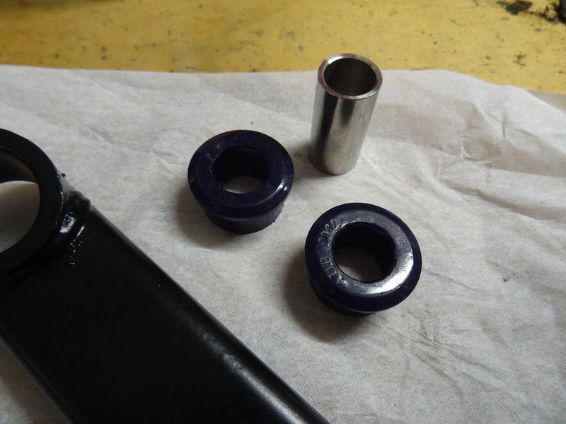 Nieuwe Polybushes