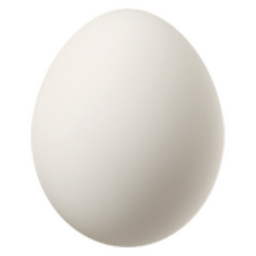 egg
