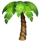 palm-tree