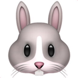 rabbit-face