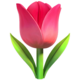 tulip